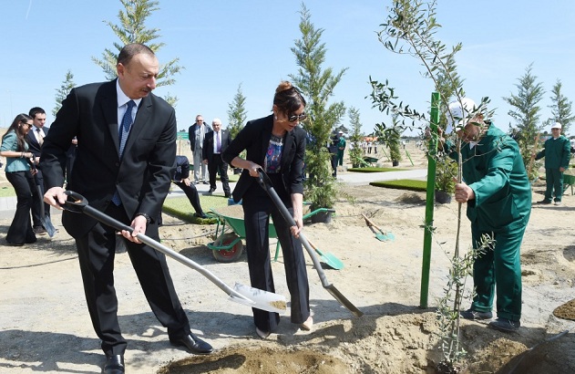Президент Азербайджана c cемьей посадили деревья - ФОТО